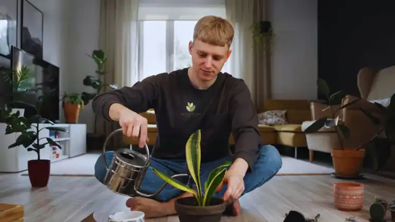 10 Practical Ways to Actually Take Care of Indoor Plants