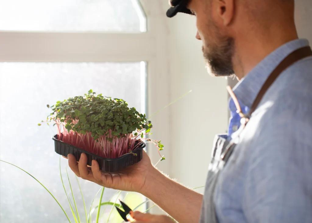 LED grow light distance chart for indoor plants showing recommended heights for herbs, succulents, foliage, and flowering plants