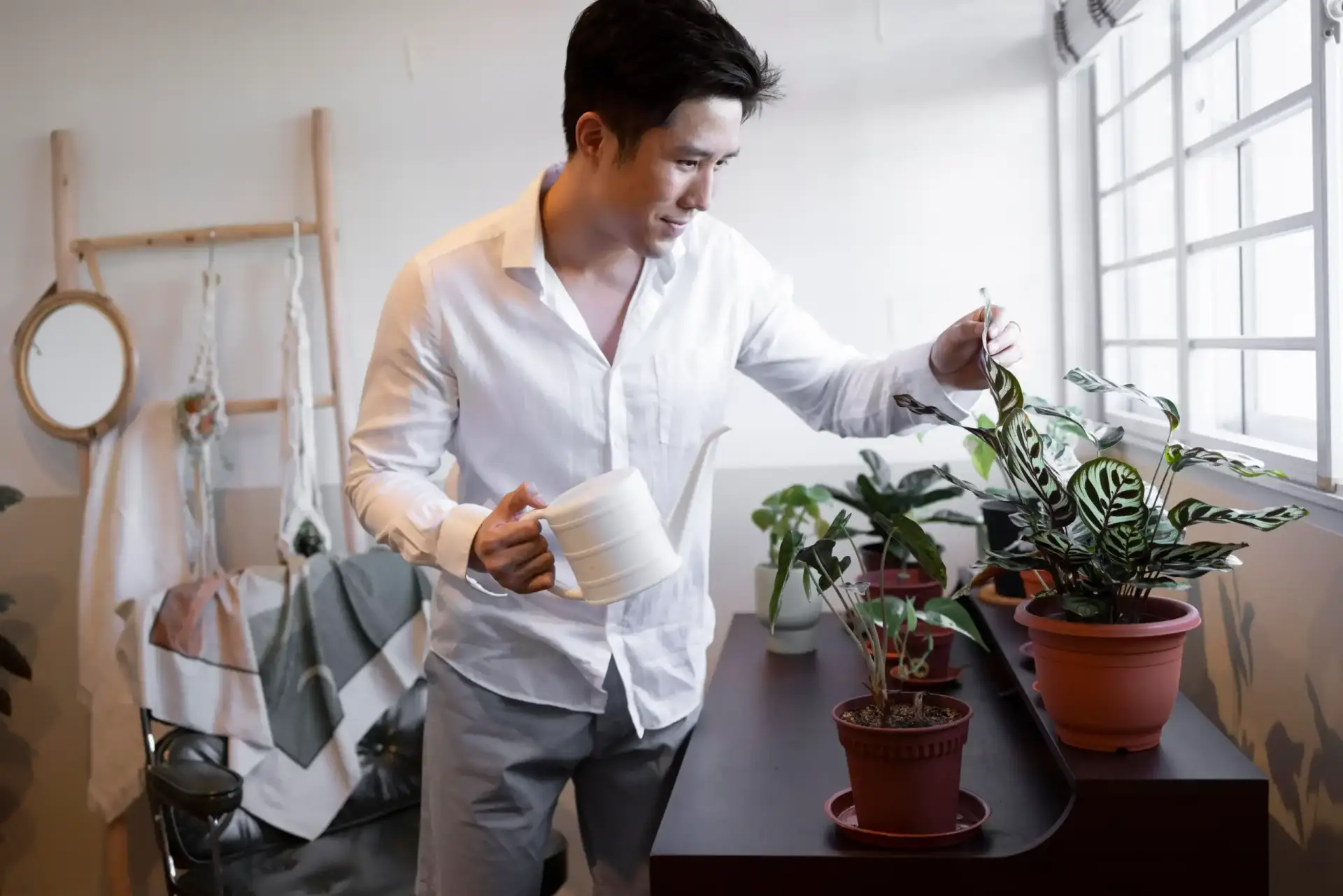 Beginner caring for indoor plants at home with natural light