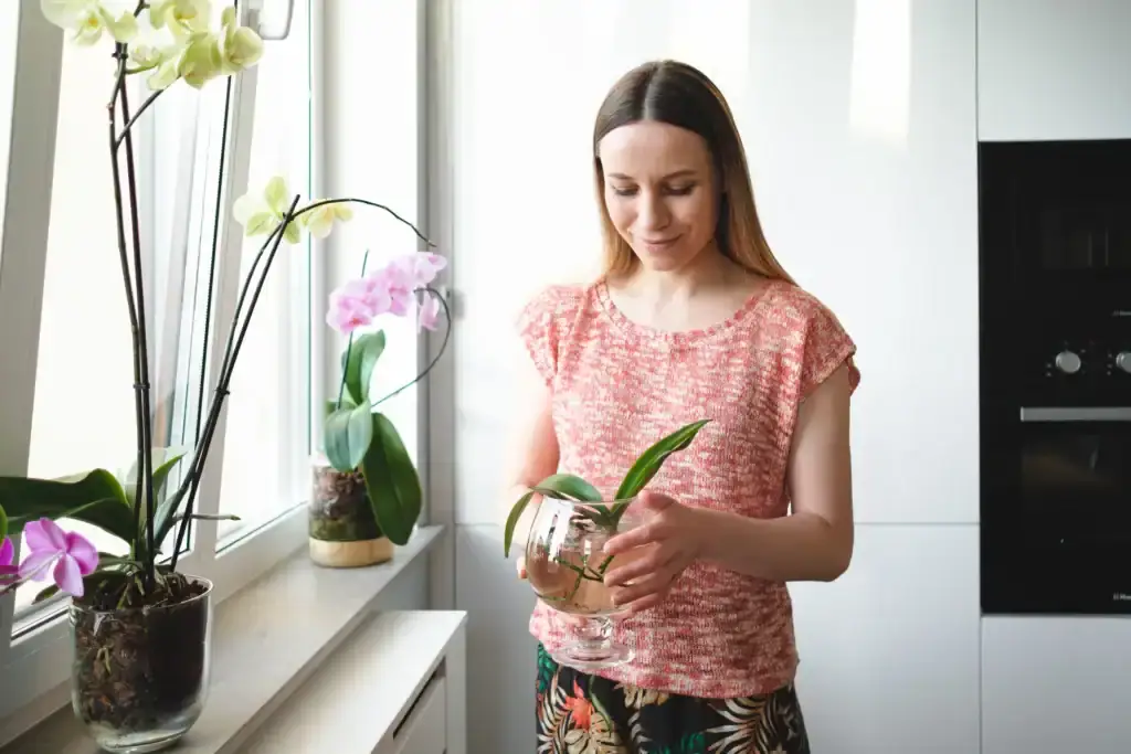 How to Take Care of Indoor Plants for Beginners: The Complete Guide to Thriving Houseplants