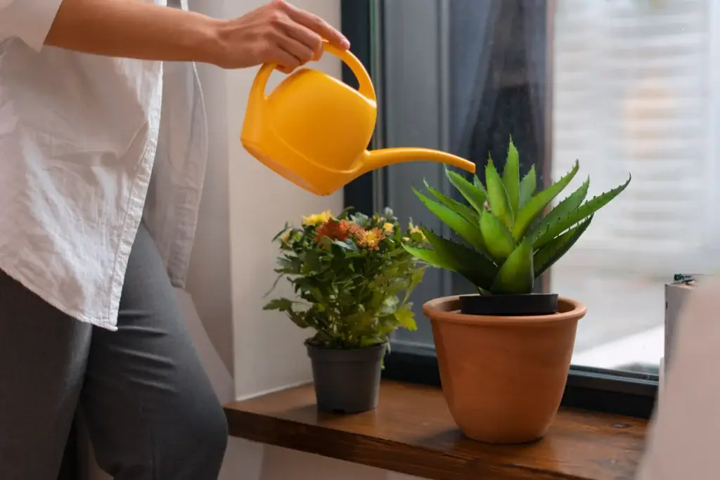 self watering pots for indoor plants showing built-in water reservoir