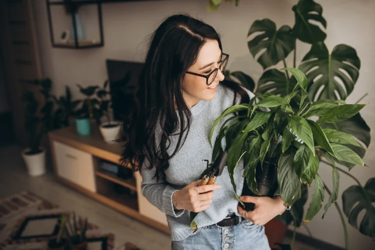 Beginner caring for indoor plants in a bright apartment living room