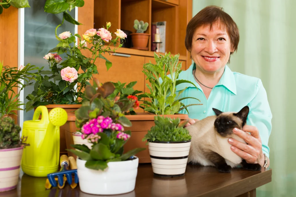 pet friendly indoor plants including spider plant for cats