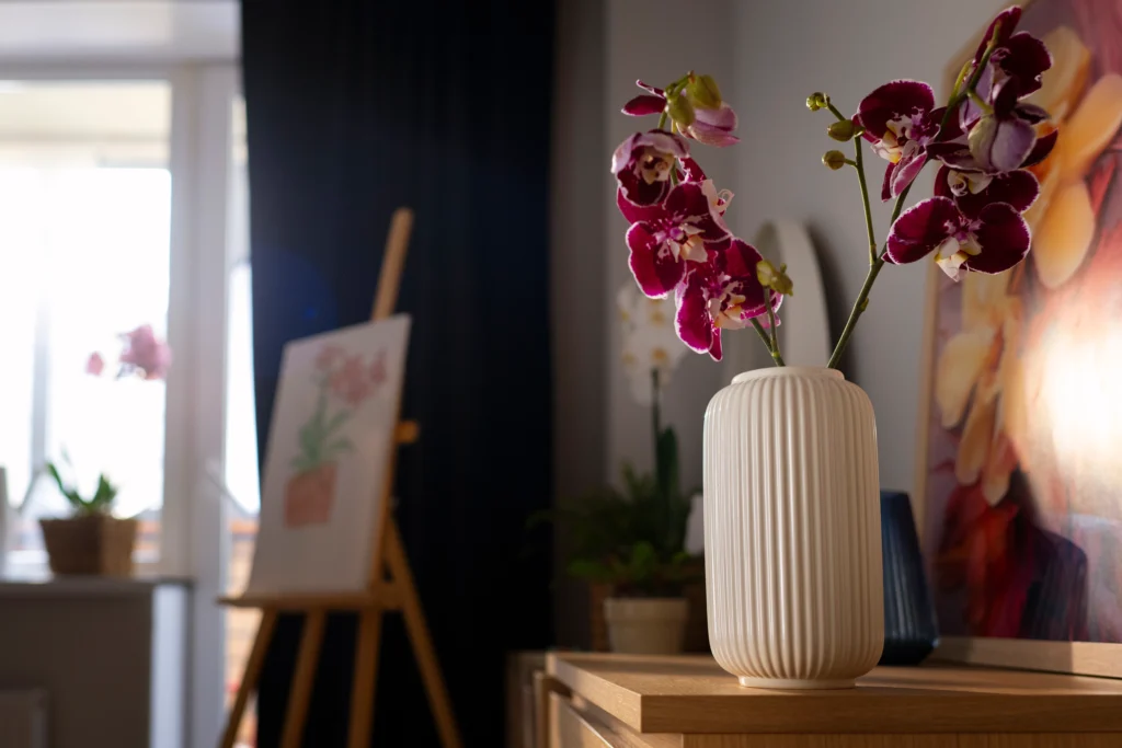Bird of paradise plant care guide with healthy indoor tropical plant in pot