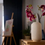 Bird of paradise plant care guide with healthy indoor tropical plant in pot